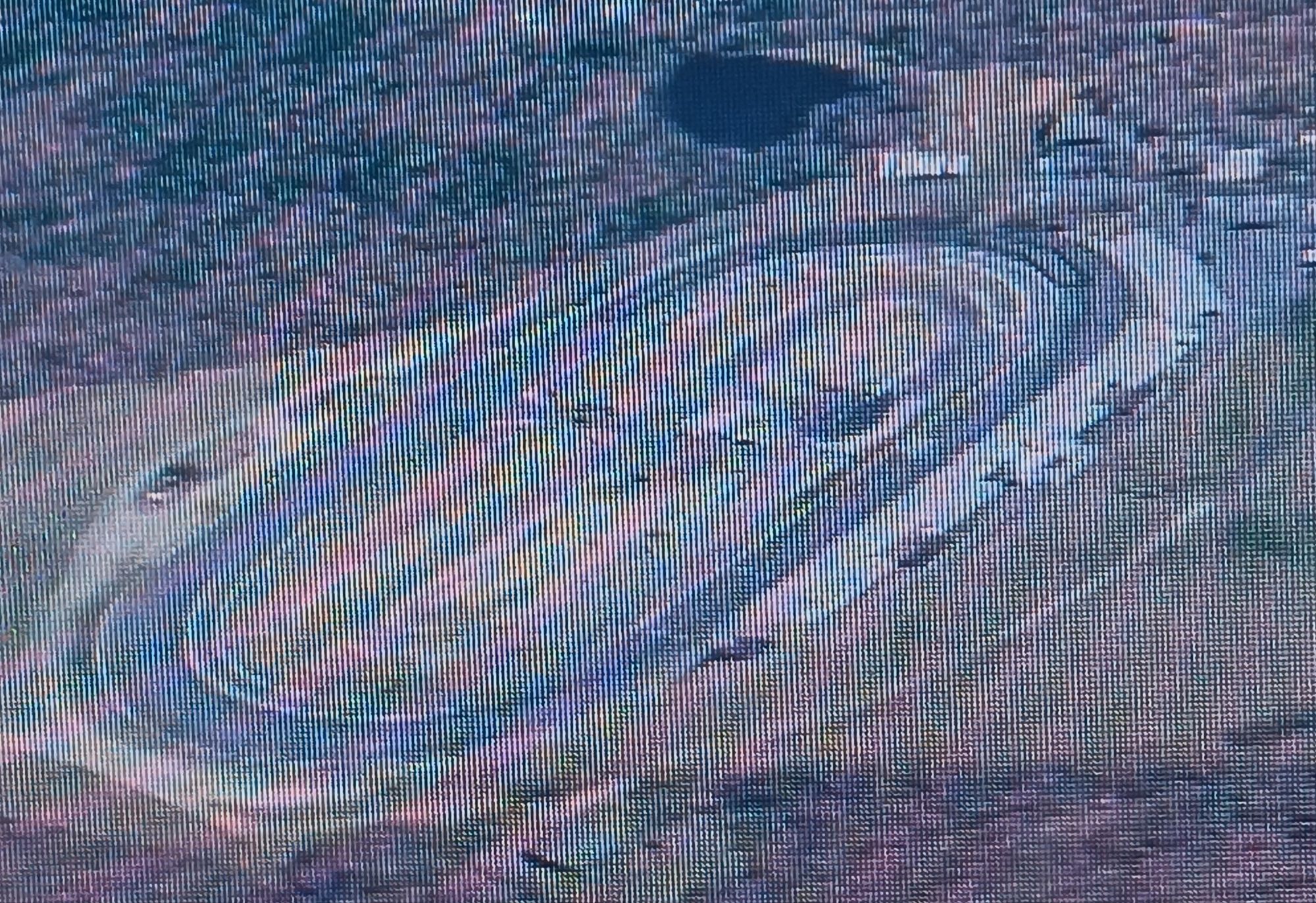 Boogity, Boogity, Boogity – Let’s go racing 🏁! Saturday evening with ...